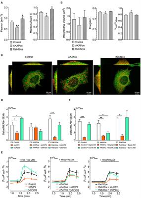 Dynamic Control of Mitochondrial Ca2+ Levels as a Survival Strategy of Cancer Cells